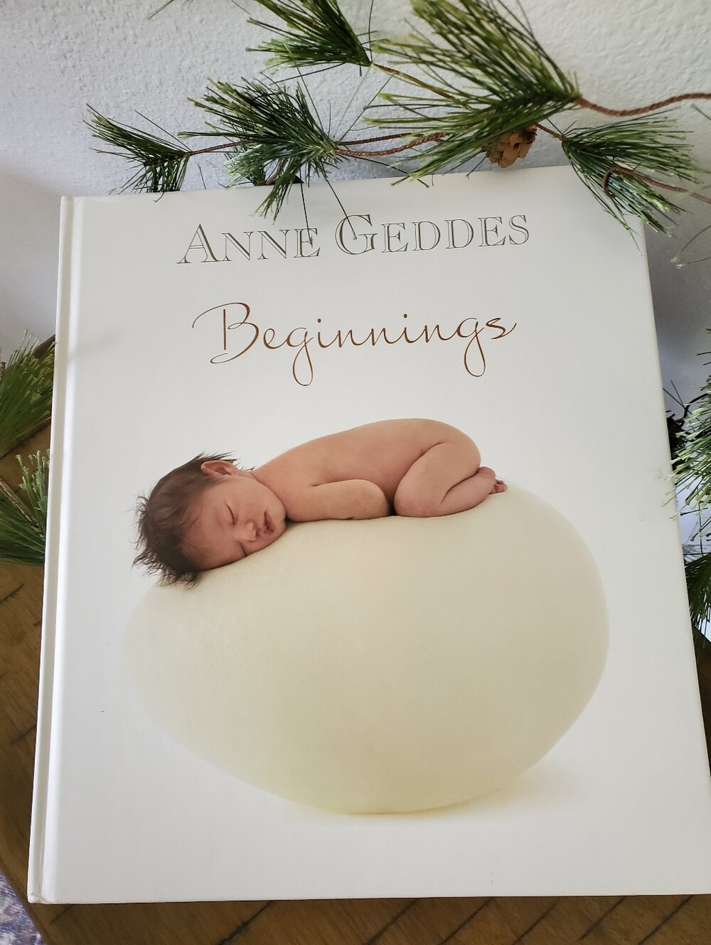 Anne Geddes Beginnings Hardcover Book Photography Coffee Table Style